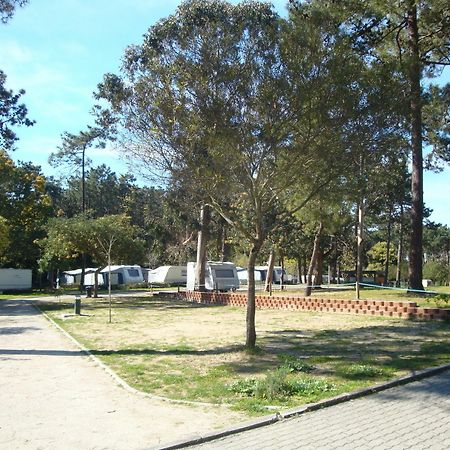 Orbitur Caminha Bungalows - Caravan Park المظهر الخارجي الصورة