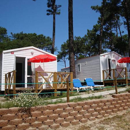 Orbitur Caminha Bungalows - Caravan Park المظهر الخارجي الصورة